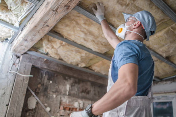 Best Blown-in Insulation in Harlem, FL
