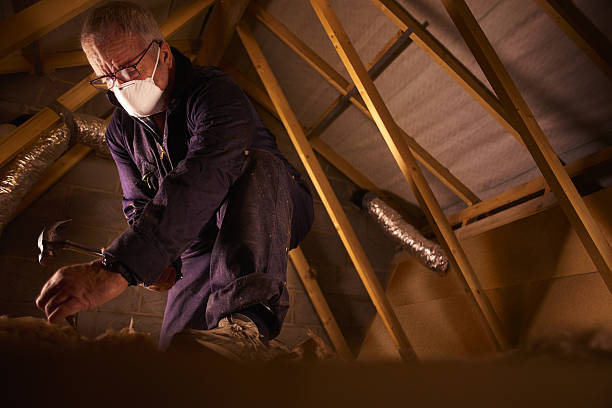 Best Insulation Maintenance and Repair in Harlem, FL