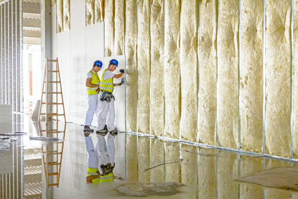 Best Specialized Insulation Services in Harlem, FL